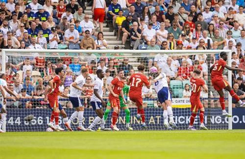 Punch Casino: Ultimate Guide for Homeowners